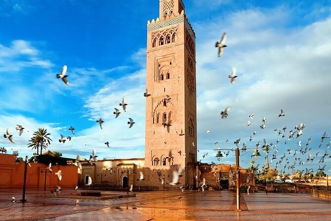 Private Full Day Guided Tour in Marrakech City - Getting Around: Pickup, Air-Conditioning, and a Bilingual Driver