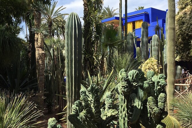 Private Full Day Sightseeing Marrakech Tour - Comfortable Transport and Pickup That Actually Helps
