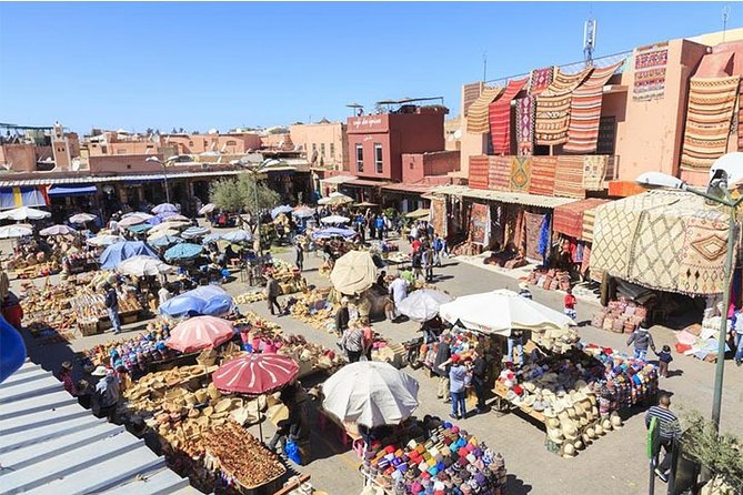 Private Full Day Sightseeing Marrakech Tour by Car - Menara Gardens and Pavilion: quiet green near the Atlas