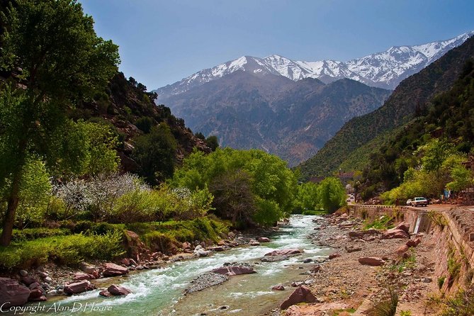 Private Full-Day Tour Ourika Valley from Marrakech with Lunch - Setti Fatma: From village streets to the Ourika River falls