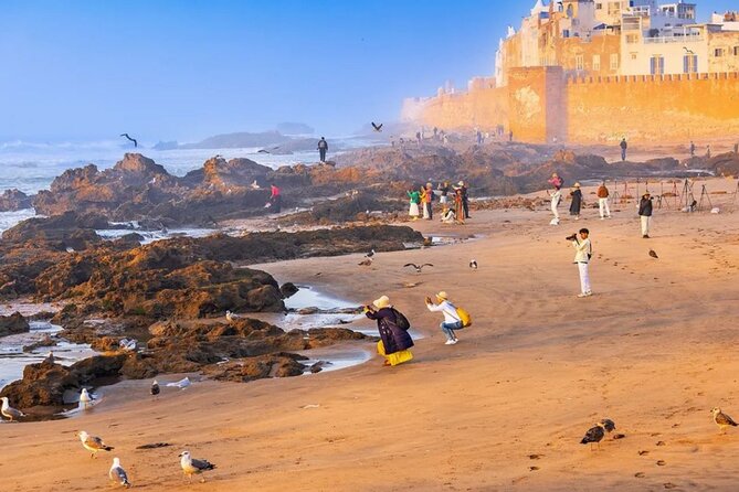 Private Full Day Trip Essaouira from Marrakech - Key things to love about this Essaouira day trip