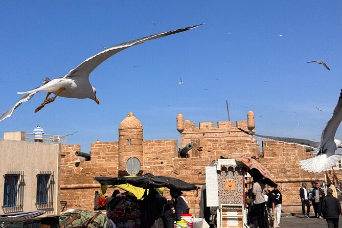 Private Full Day Trip Essaouira from Marrakech - Mellah: old Jewish quarter streets you can actually walk through