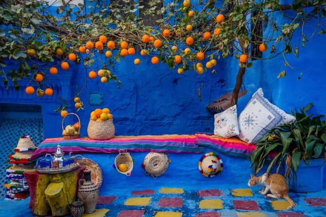 Private Full-Day Trip in Chefchaouen - From Tangier to Chefchaouen Blue Streets: The 6-Hour Rhythm