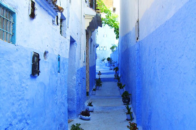 Private Full Day Trip To Chefchaouen From Fez - Scenic stops en route: dam views and photo breaks