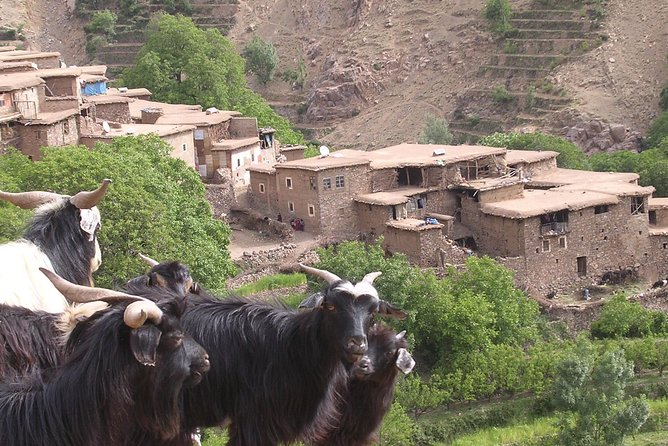 Private Guided Atlas Day Tour from Marrakech with lunch in a Berber family home - Key highlights at a glance
