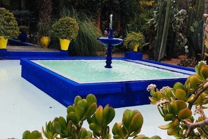 Private Guided City Tour to Discover The Medina or Old Town of Marrakech - Food, water, and wearing the right shoes