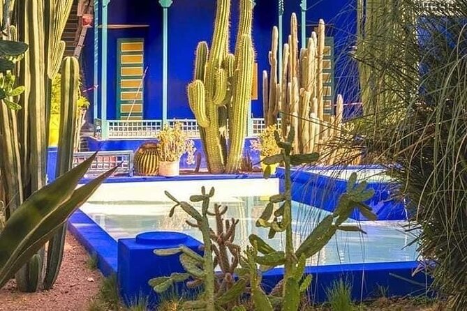 Private Guided City Tour to Discover The Medina or Old Town of Marrakech - Price and value: what $82.54 buys in a private setting