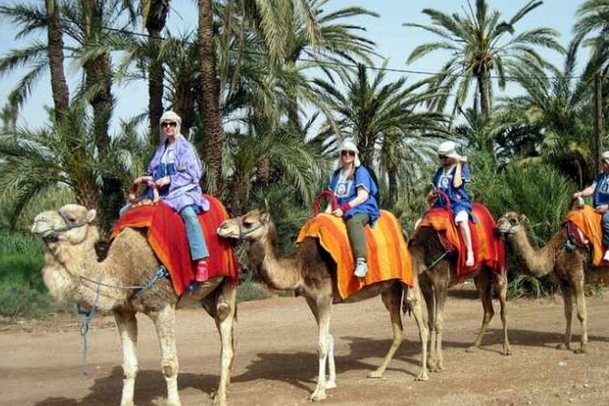 Private Guided City Tour to Discover The Medina or Old Town of Marrakech - Koutoubia Mosque: what to look for besides the postcard view