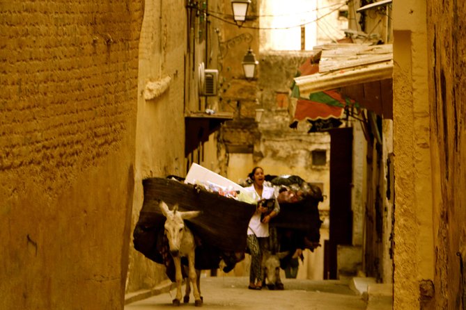 Private Guided Full-Day Tour of Fez - Royal Palace look: what you’ll get from an outside glimpse