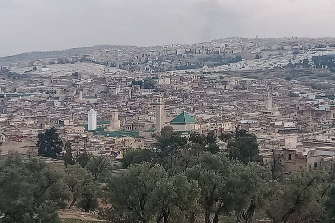 Private Guided Tour in Fez Medina - Zaouia of Moulay Idriss II: a holy place with meaning