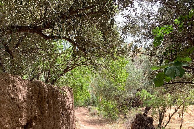 Private half-day mountain bike tour discover Palmeraie Skoura - Riding the Palmeraie de Skoura: what the route is really like