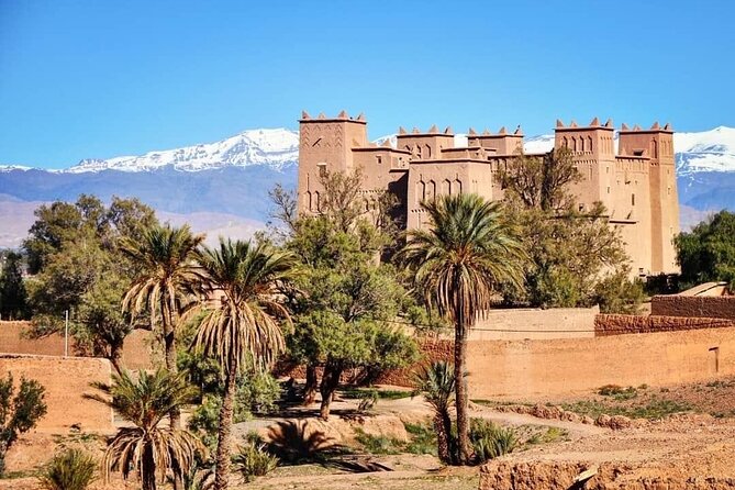 Private half-day mountain bike tour discover Palmeraie Skoura - How the half-day flows: bikes, tea, and time on the trails