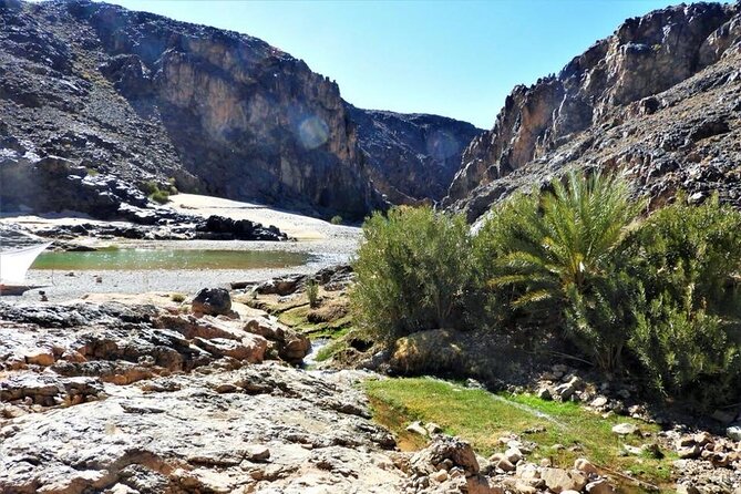 Private half-day mountain bike tour discover Palmeraie Skoura - Kasbah Amridil: the fortress option if you want more than palms