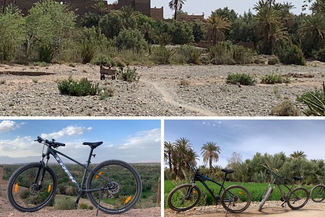 Private half-day mountain bike tour discover Palmeraie Skoura - Price and value: is $33.31 a fair deal?