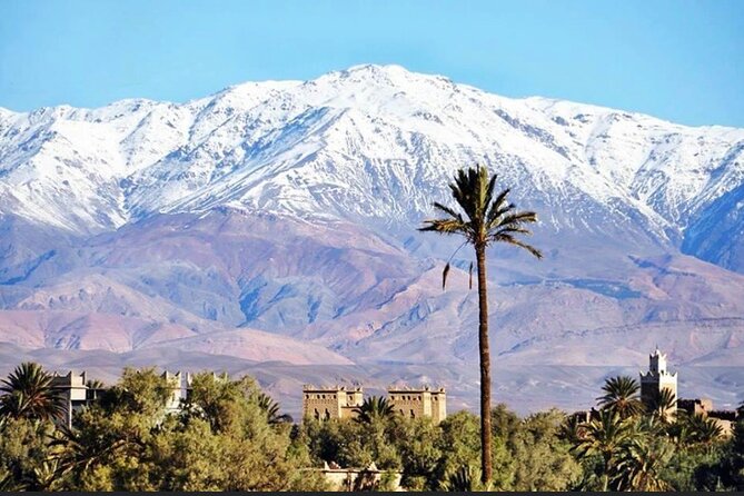 Private half-day mountain bike tour discover Palmeraie Skoura - Optional craft visit: Mohamed le Potier and making something small