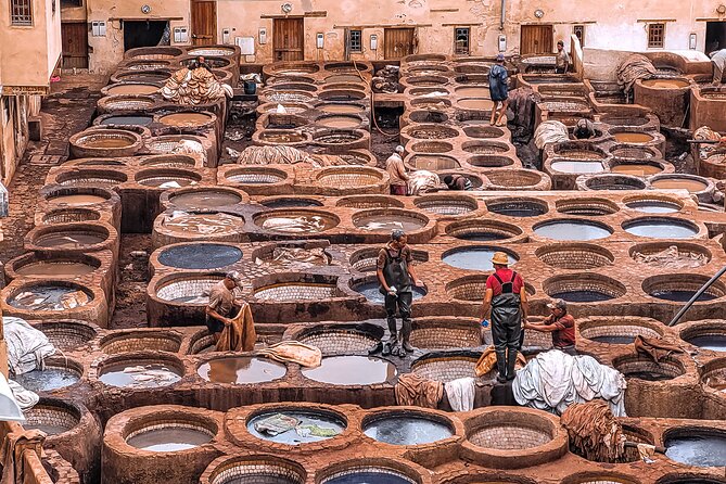Private Half-Day Tour of the Authentic City of Fez - Chouara Tannery: The Spectacle (And the Practical Reality)