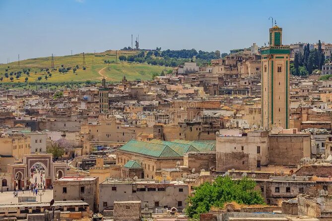 Private Half-Day Walking Tour of Fez Medina - Zaouia of Moulay Idriss II: where access is limited