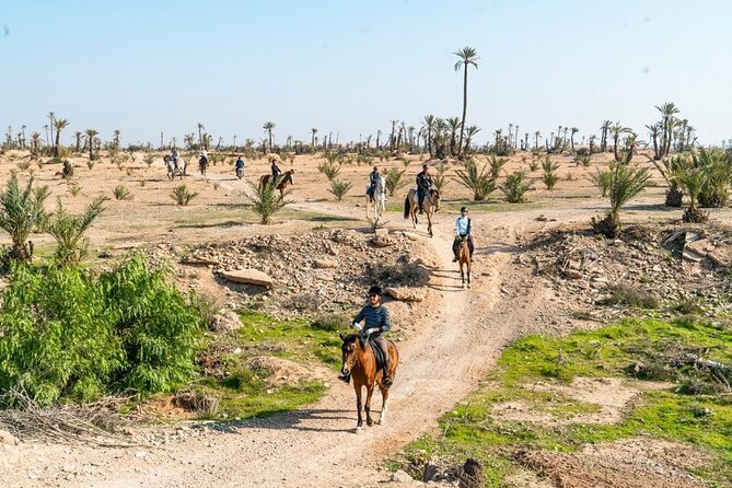 Private horseback ride in the Palmeraie of Marrakech - Key Highlights You’ll Actually Feel