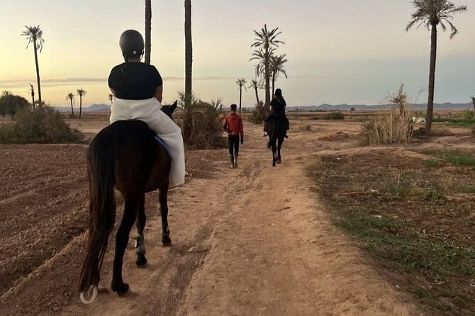 Private horseback ride in the Palmeraie of Marrakech - Private Tour Value: You’re Not Crowded Into the Same Mold