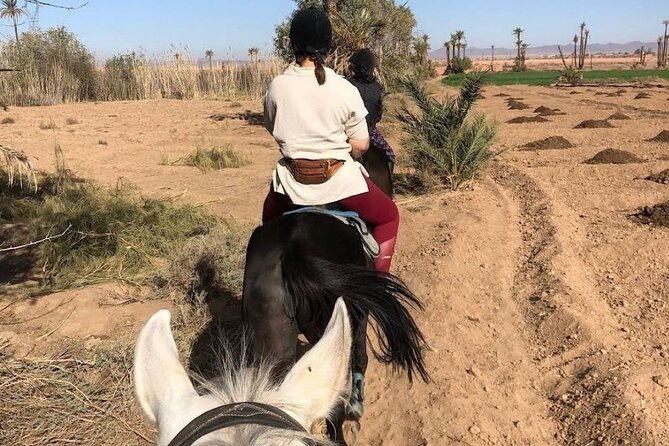 Private horseback ride in the Palmeraie of Marrakech - Best Times to Ride: Sunset Magic vs. Morning Comfort