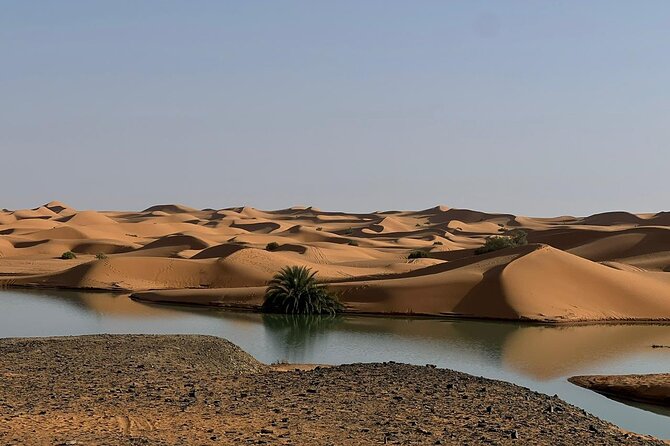 Private Luxury 4 Day Desert Tour from Marrakech to Sahara Desert - Day 4: Ouarzazate movie studio tour and the drive back to Marrakech