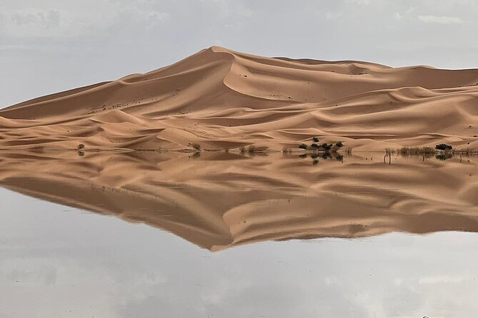 Private Luxury 4 Day Desert Tour from Marrakech to Sahara Desert - Why the guide and camp team matter more than you think