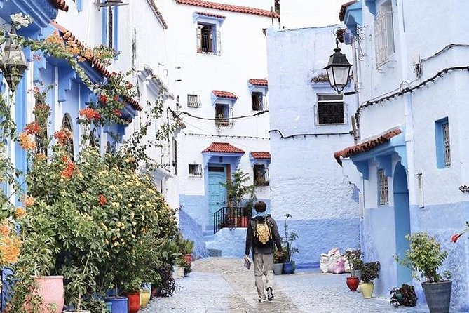 Private Luxury Day Trip from Fes to Chefchaouen - Key highlights you’ll feel right away