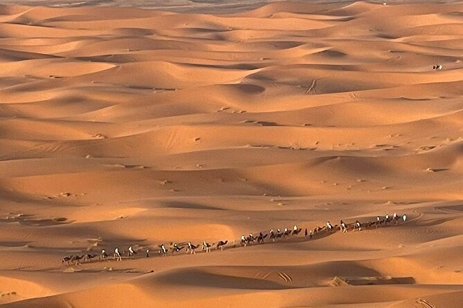 Private Luxury Tents ,Camel ride and Sandboard in Merzouga Desert - The camel ride across Erg Chebbi: the slow way to travel