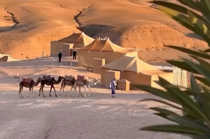 Private Marrakech Airport Transfer to or from Agafay Desert - Price and Value: Is $40.67 Per Person Worth It?