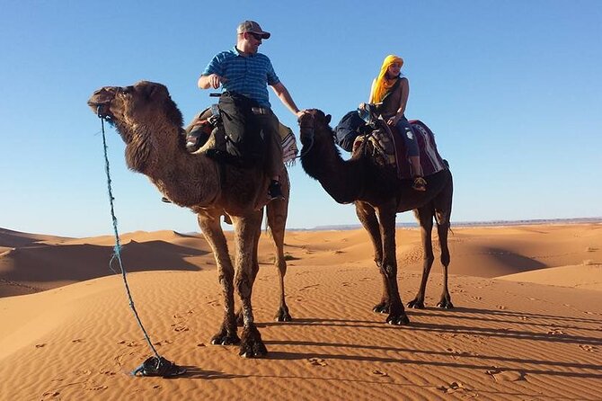 Private Marrakech Desert tour to Fes - Private Marrakech to Fes: why this route is such good value
