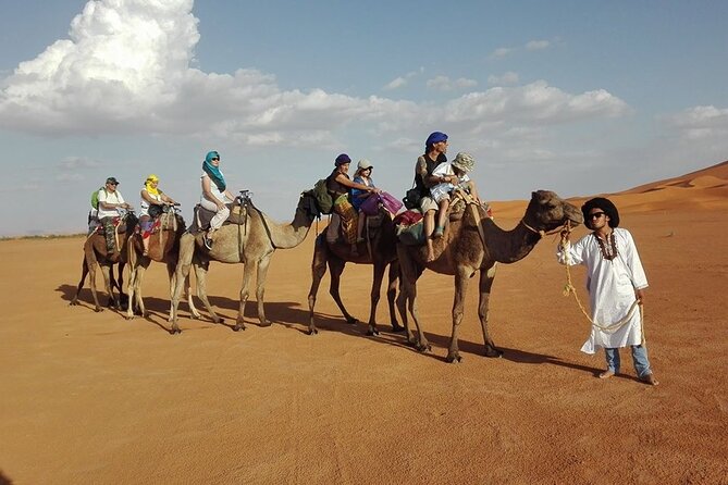 Private Marrakech Desert tour to Fes - Price and what’s truly included in the $463.42 per person cost
