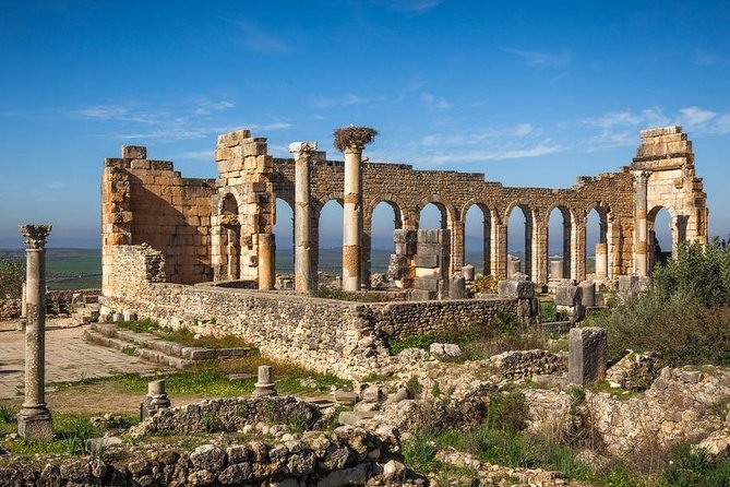 Private Meknes Volubilis -Mouly Idriss day trip from Fez - Timing From Fes: 10:00 Pickup and a 7-Hour Rhythm