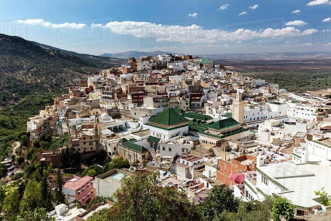 Private Meknes Volubilis -Mouly Idriss day trip from Fez - Meknes in One Day: Where Royal Power Shows Up