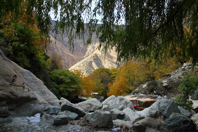 Private Ourika valley and Atlas Mountains day trip from Marrakech - Panoramic Stops and Berber Village Life Along the Way