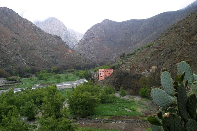 Private Ourika valley and Atlas Mountains day trip from Marrakech - Setti Fatma and the Seven Waterfalls: The Main Event
