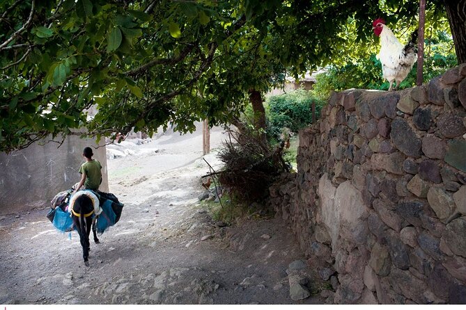 Private Ourika Valley Tour - Entering Ourika Valley: Berber life without turning it into a museum