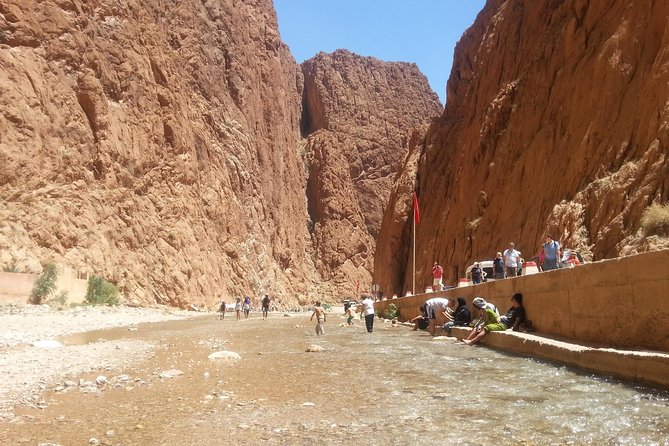 Private Sahara Discovery Tour from Marrakech to Fez in 4WD - Day 4: Ziz Valley, Cedar Forests with Barbary Apes, and Arrival in Fez