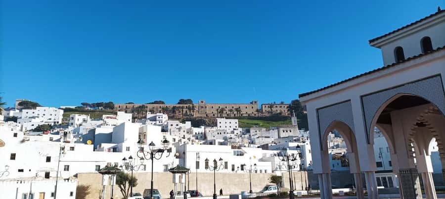 Private Tangier Tour from ferry cruise ship including lunch. - Camel ride along the coast: cool idea, but double-check coverage