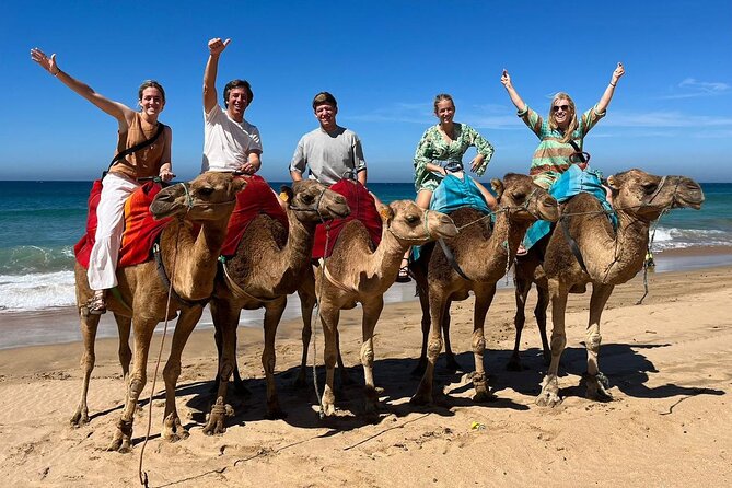 Private Tangier Tour from Ferry or Cruise Ship Including Lunch - Tangier Casbah and the Medina: the day shifts from sights to real life