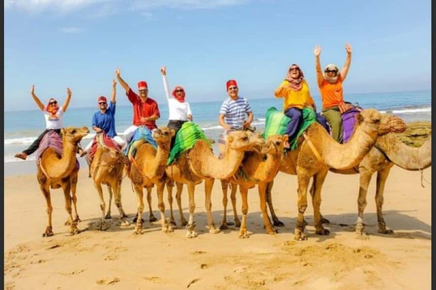 Private Tangier Tour with Lunch and Camel Ride - Key highlights to know before you go