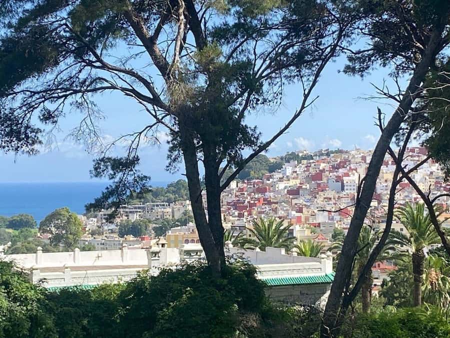 Private Tangier Tour with Lunch and Camel Ride - Lunch with mint tea: Morocco you can taste, not just see