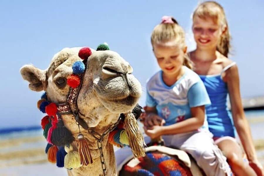 Private Tangier Tour with Lunch and Camel Ride - Medina and Casbah walking: where a local guide changes everything
