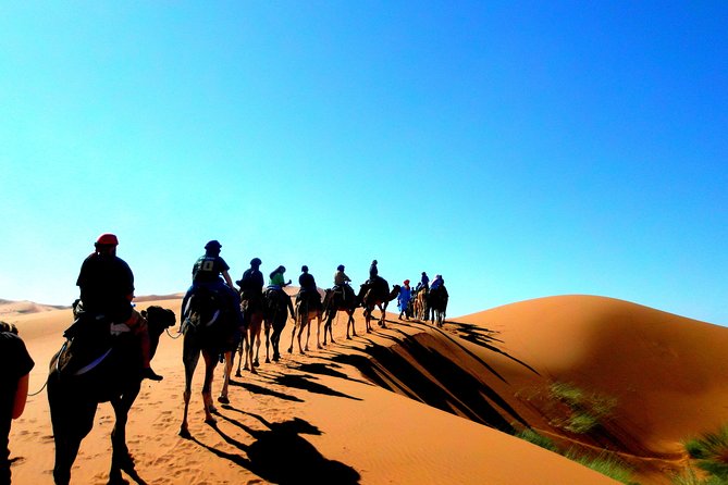 Private Tour 10 Days from Casablanca to Imperial Cities And Sahara Desert - Meknes and Volubilis: imperial walls plus Roman ruins