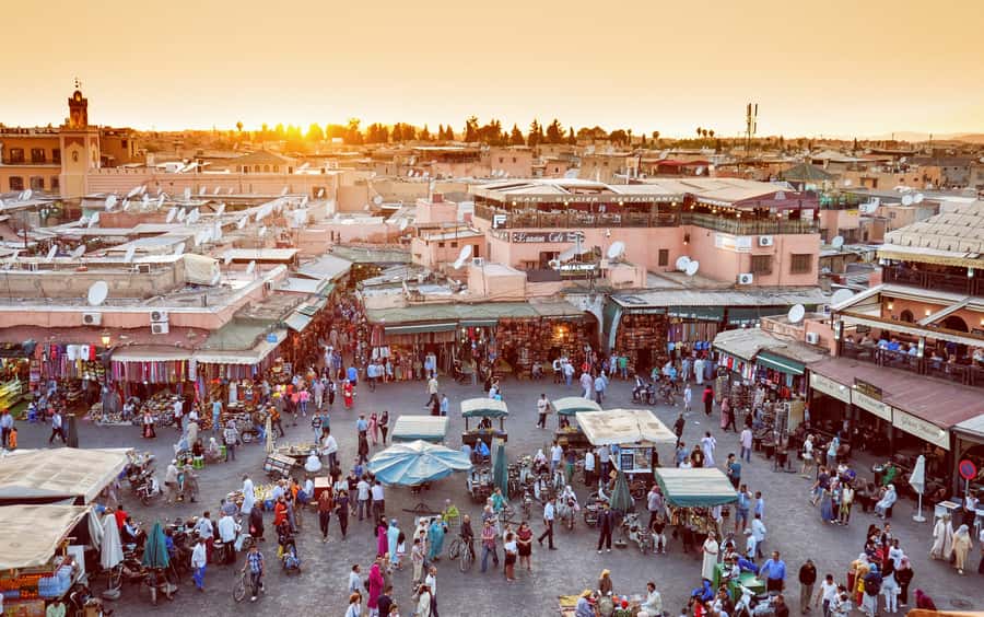 Private Tour: Half-Day Sightseeing Tour of Marrakech - Key takeaways before you go