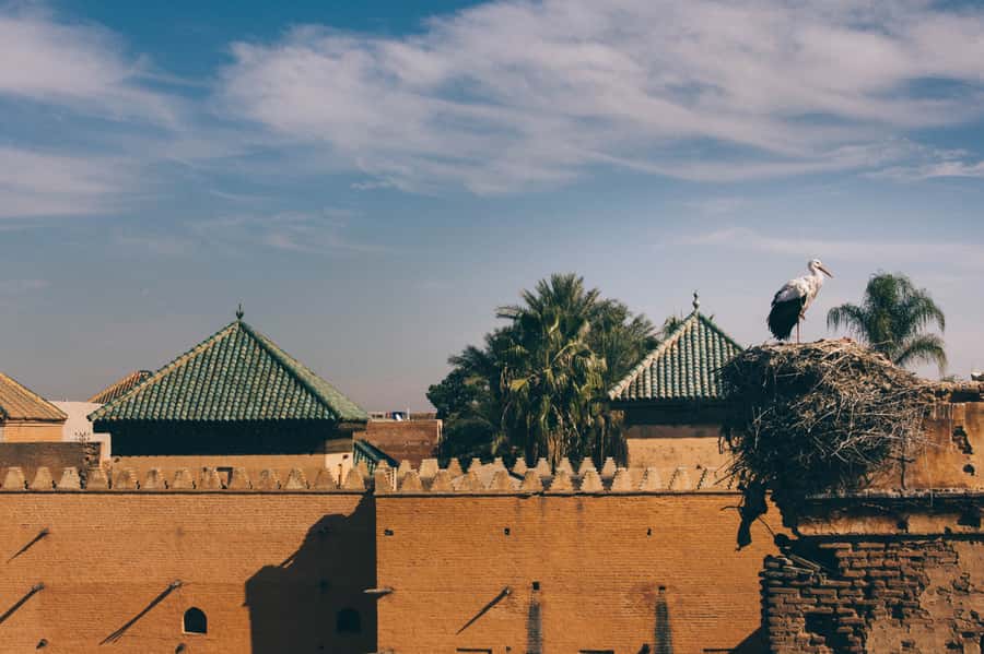 Private Tour: Half-Day Sightseeing Tour of Marrakech - What You’ll Miss If You Do It Alone