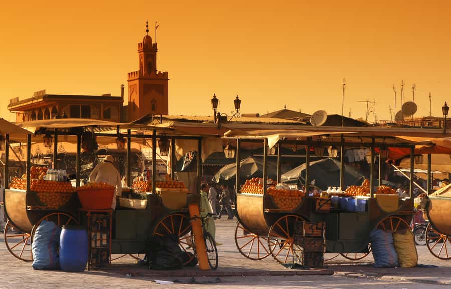 Private Tour: Half-Day Sightseeing Tour of Marrakech - A Four-Hour Plan That Starts in the City’s Icon Zone
