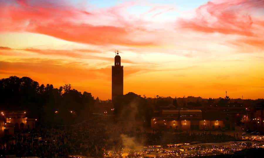 Private Tour: Half-Day Sightseeing Tour of Marrakech - Bahia Palace Gardens: Where Marrakech Shows Its Soft Power