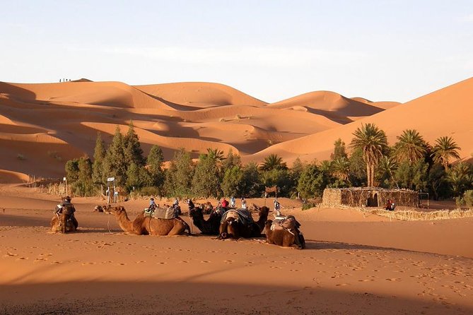 Private Tour Imperial Cities of Morocco from Casablanca 6 Days & 5 Nights - Medina walking tips: how to enjoy Fes without getting tired or lost