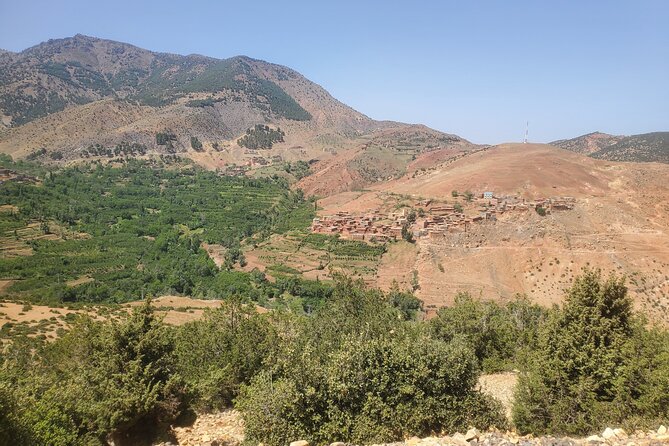 Private Tour in Atlas Mountain and 3 Valleys with Camel Ride - Value Check: Is $79 Worth It for This Much Morocco?