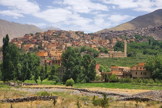 Private Tour in Atlas Mountain and 3 Valleys with Camel Ride - Argan Oil Cooperative Break: What You’ll Actually See